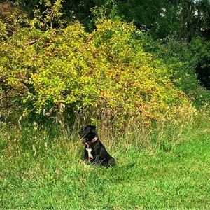 🐾 Make an Offer!!!! 🐾